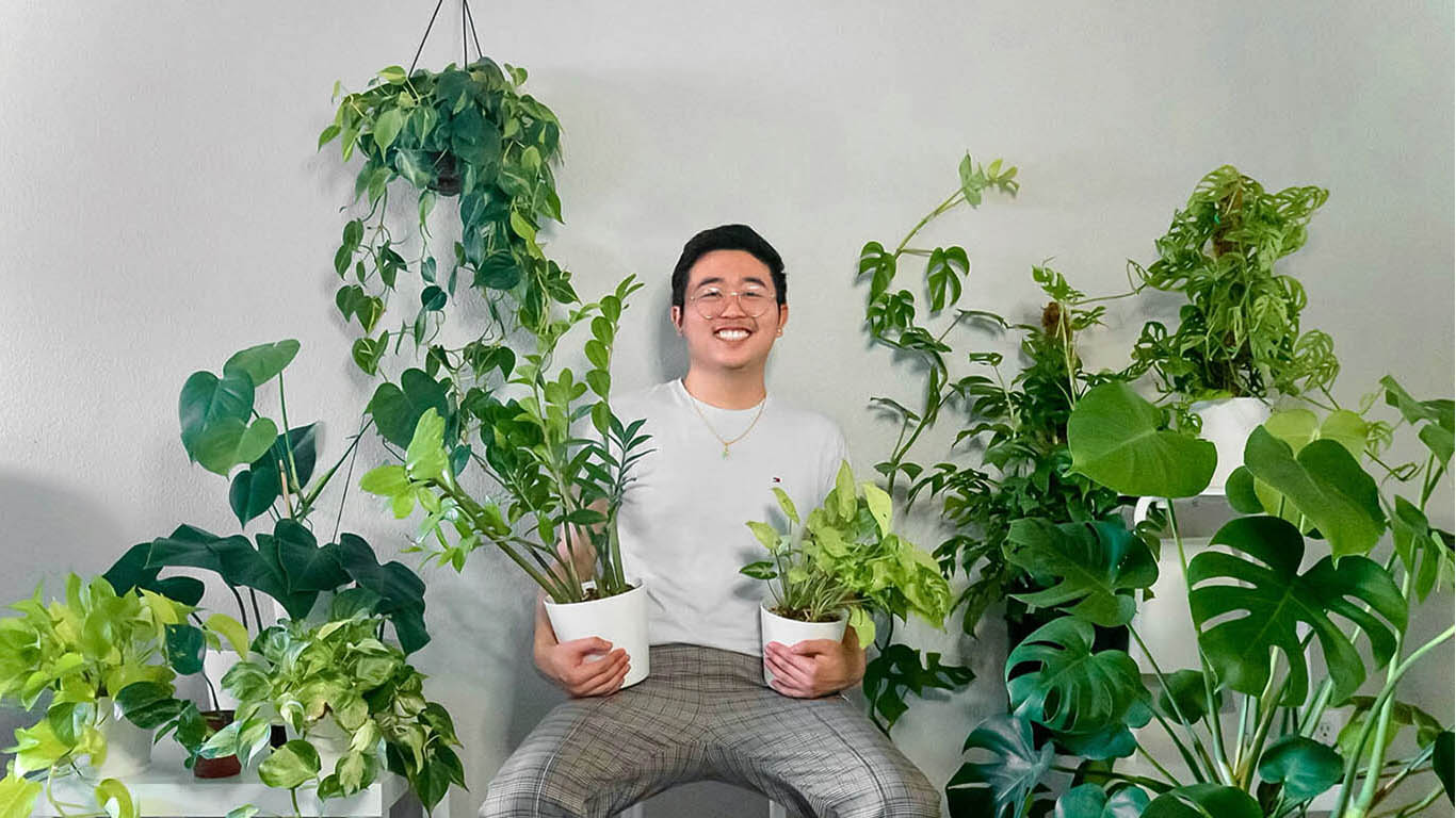 plants